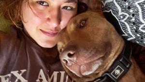 Un pastor belga enfronta judicialment el seu propietari i l’amiga que l’hi va deixar tres anys