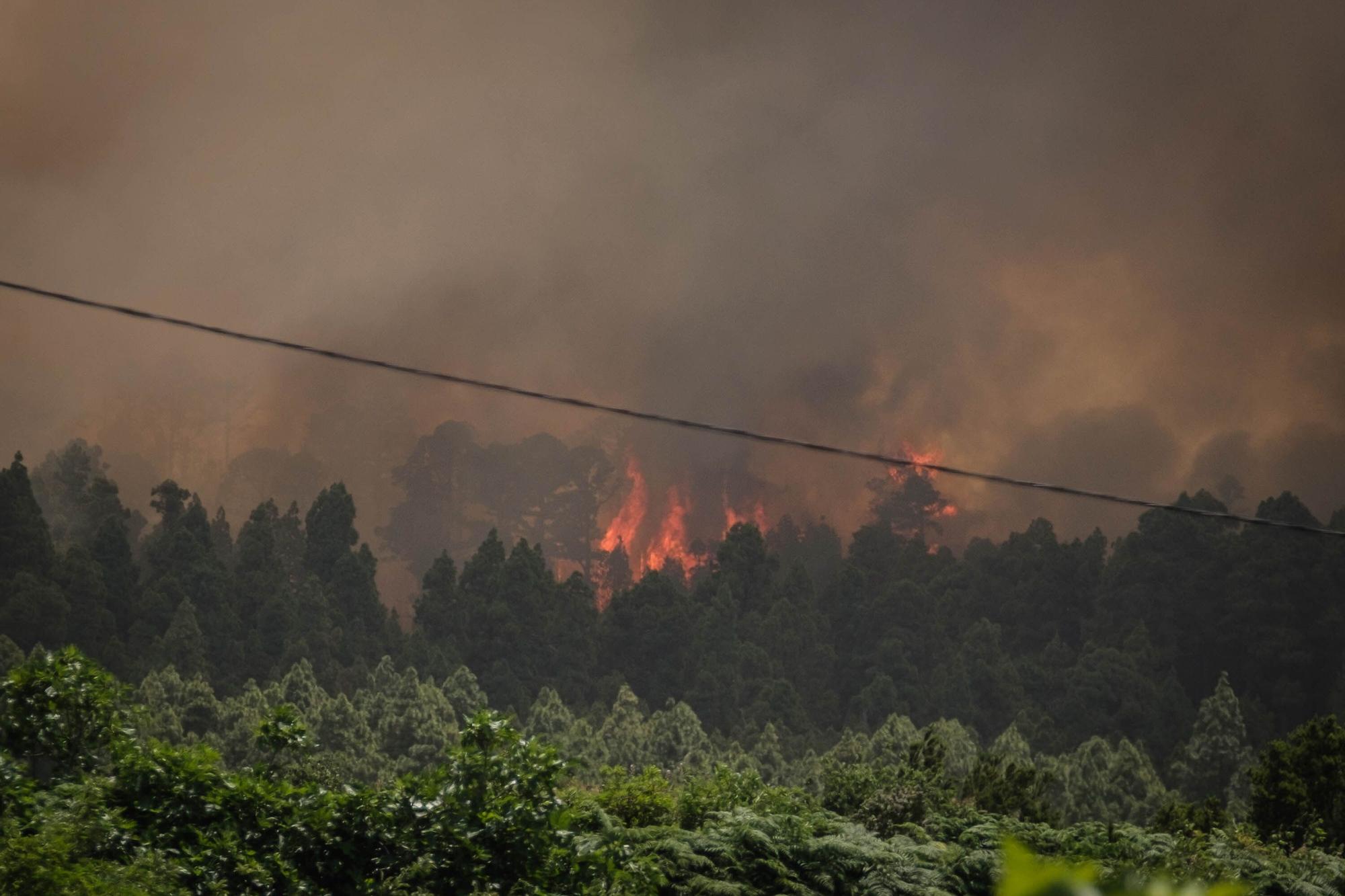 Incendio forestal en Tenerife