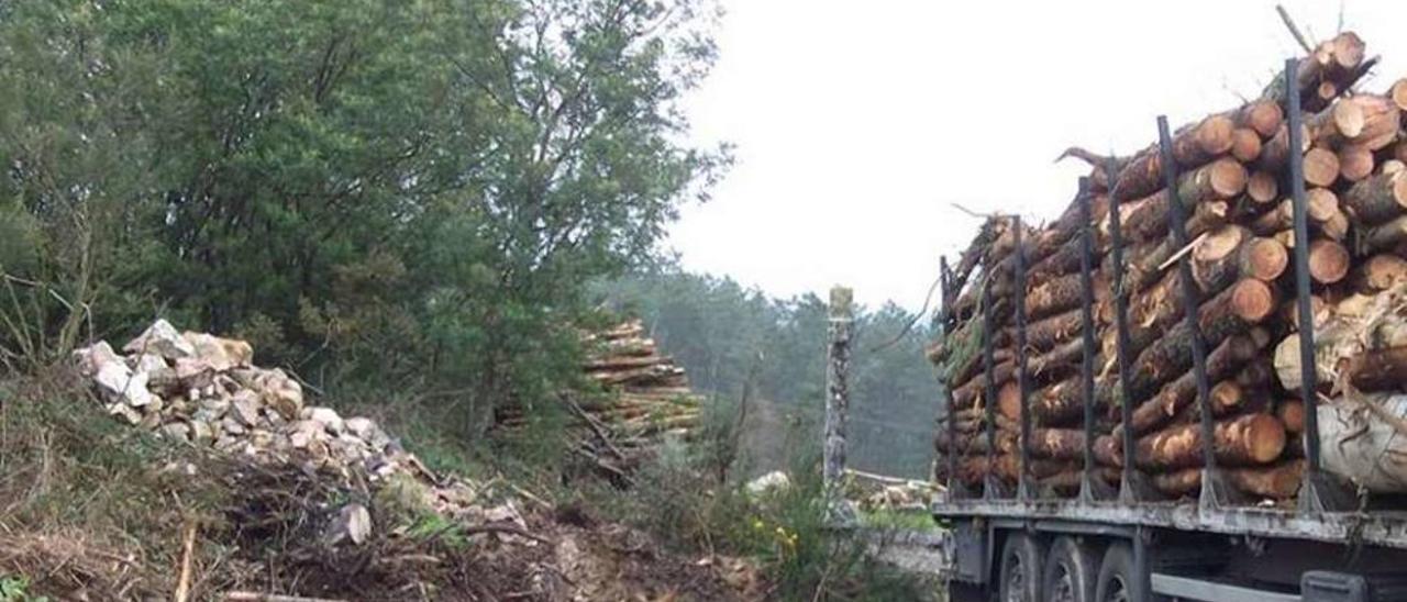 Carga de un camión de madera a escasa distancia de un cruceiro en días pasados en Cangas. // A.P.