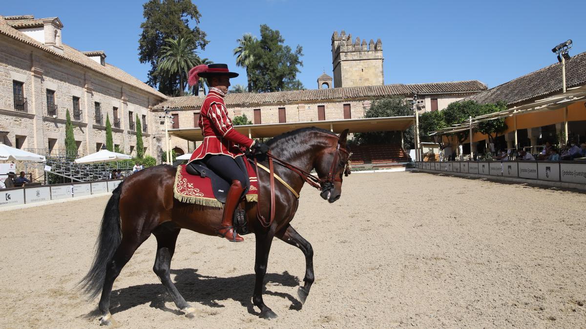 Campeonato de Andalucía de Alta escuela (cabalcor) Caballos, Caballerizas Reales