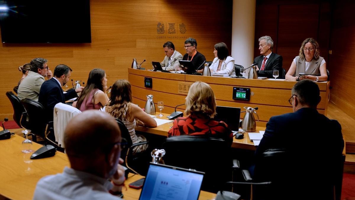 La petición de un informe sobre la protección de datos retrasa la entrega de documentación sobre Les Naus en las Cortes
