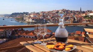 Vistas de Oporto desde Vila Nova de Gaia