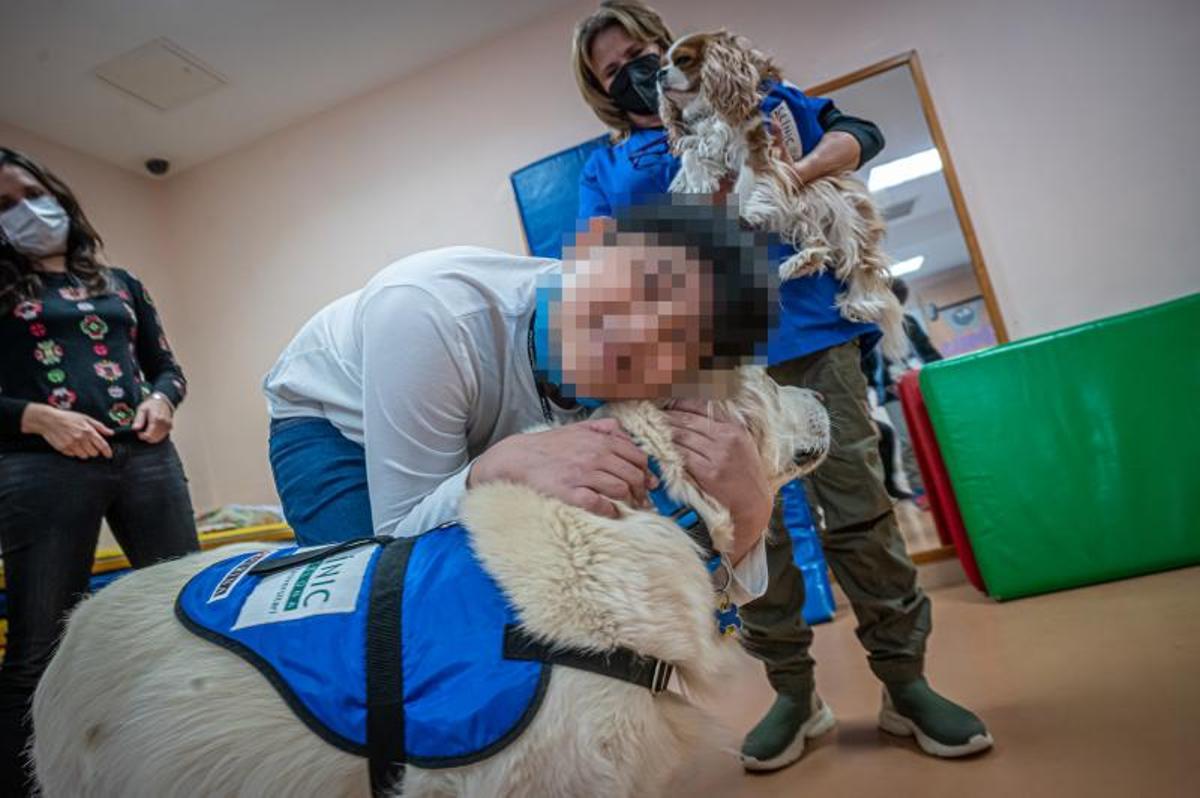 Terapia con perros, en el hospital de día de niños, en el Clínic