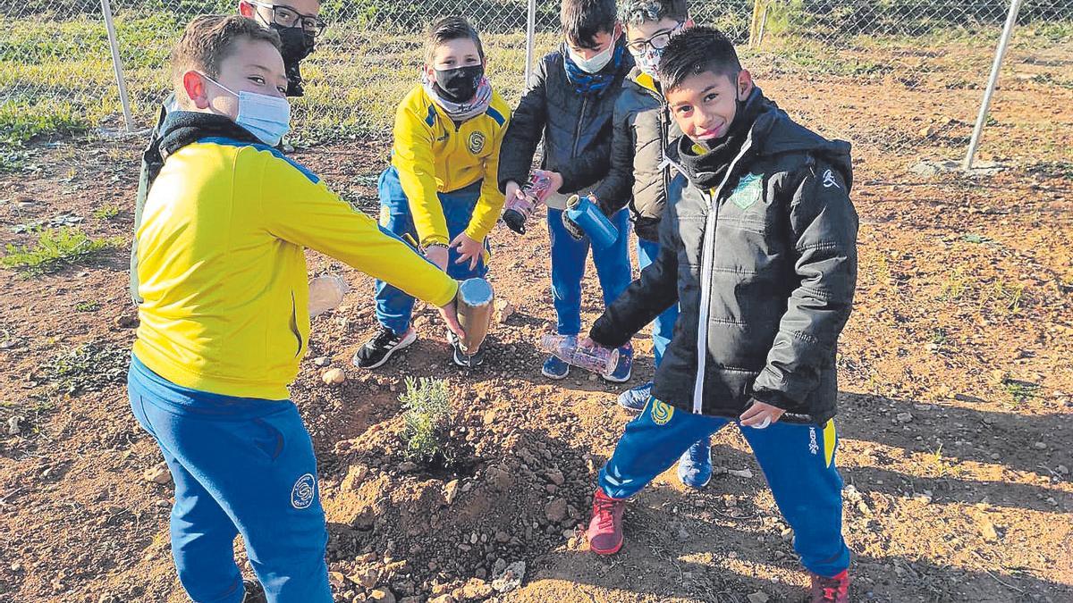 Un grupo de alumnos del colegio Séneca en plena acción en la parcela de huerto urbano del Parque de Levante.