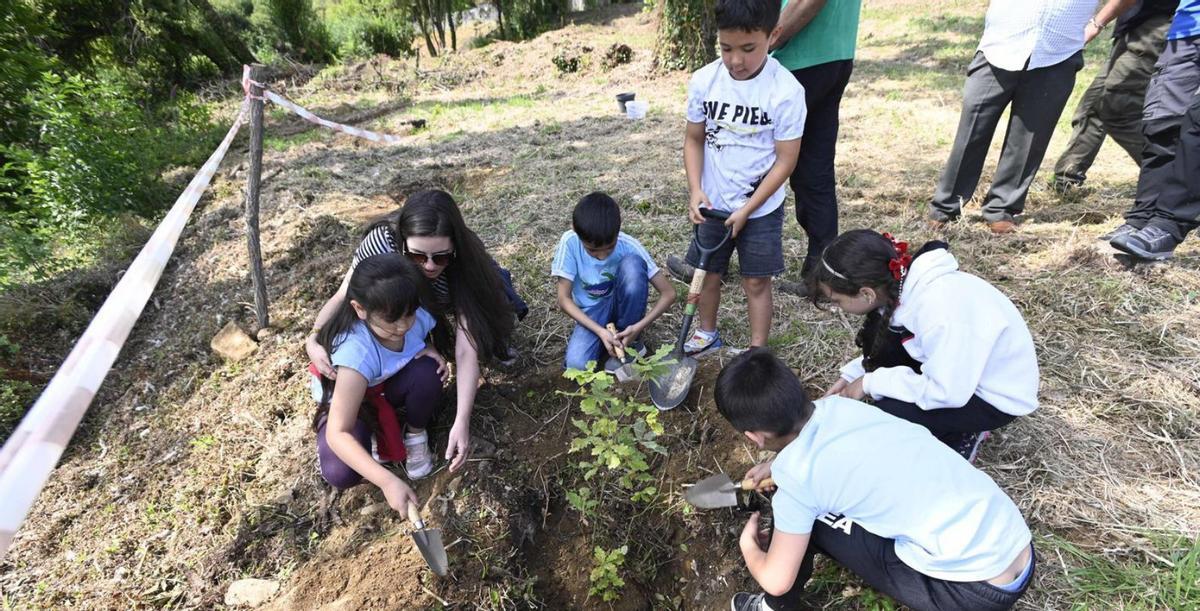 Los escolares, plantando robles autóctonos ayer en Lavadores.
