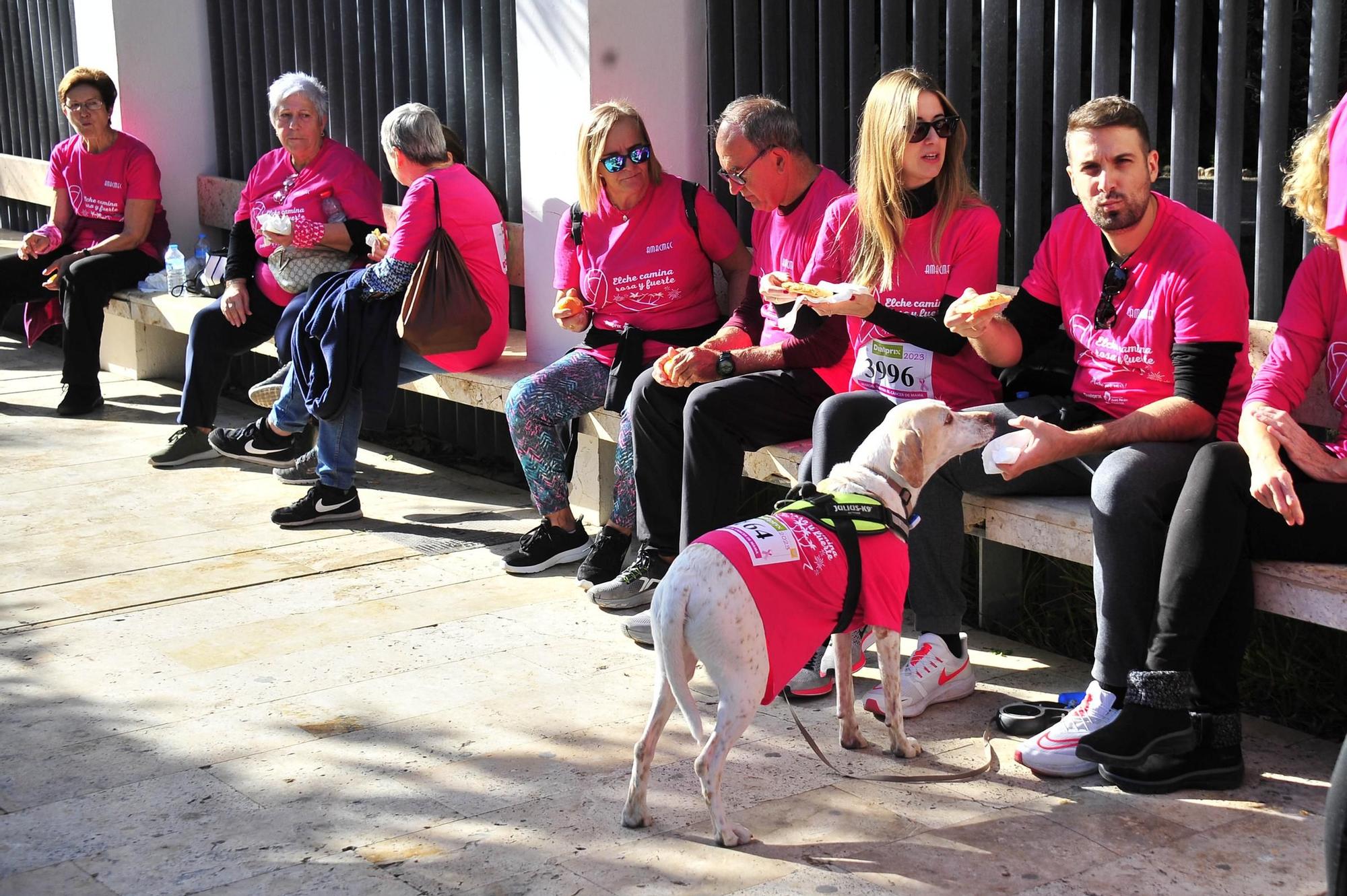 Una marea rosa imparable contra el cáncer de mama en Elche