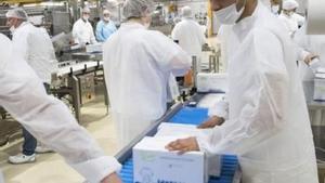 Els tutelats migrants troben feina abans