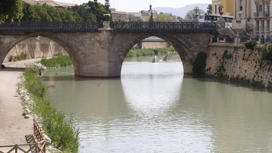 El río recupera tras el dragado  el cauce de hace 55 años