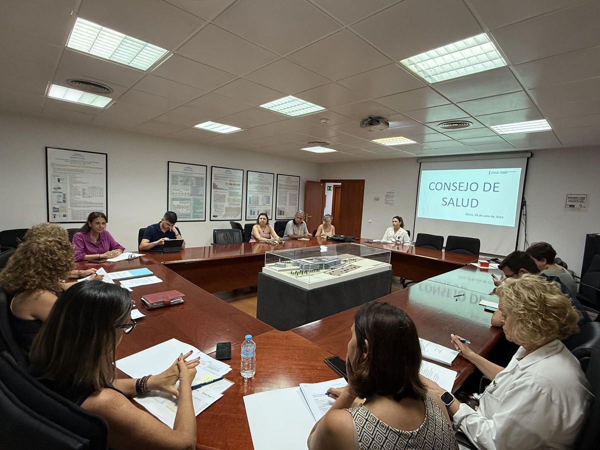 Un momento de la reunión del Consejo de Salud, este viernes.