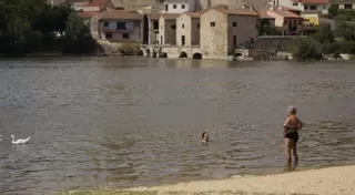 Ya son 13 los fallecidos en la provincia de Zamora por las altas temperaturas