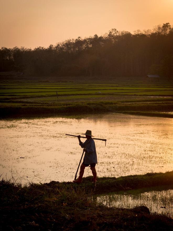 Tailandia: las maravillas escondidas de Sukhothai, Nan y Trat