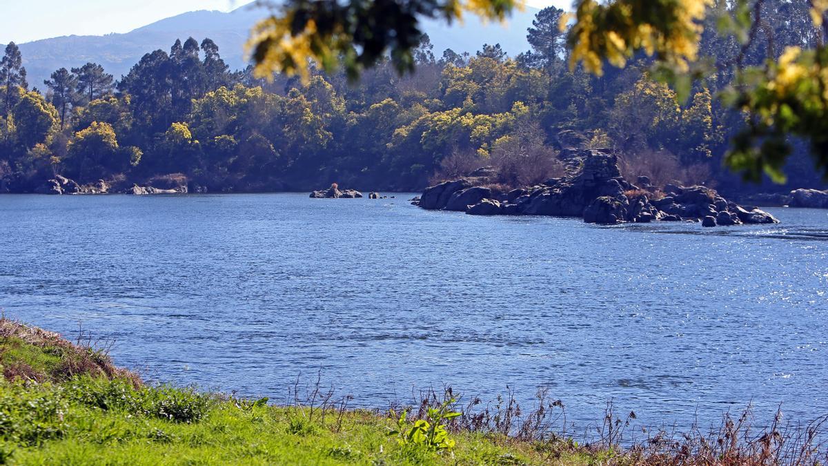 El hombre se ahogó en el el Miño a su paso por la parroquia de LIñares, en As Neves.