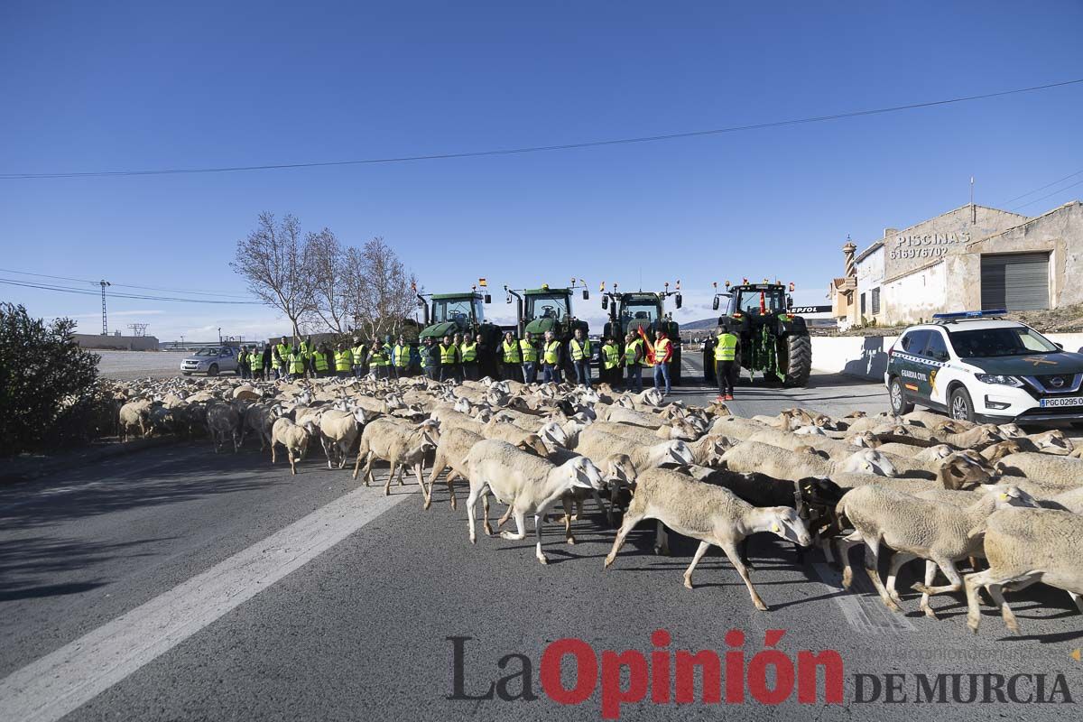 Manifestaciones de agricultores en Caravaca