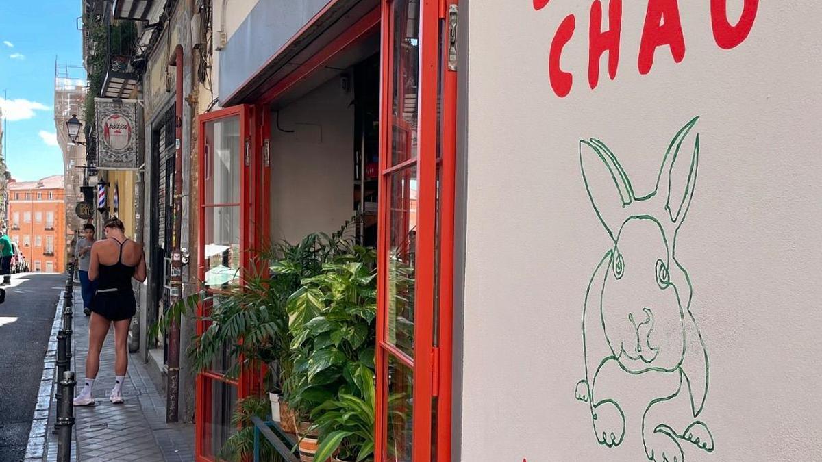 BUNNY CHAO
