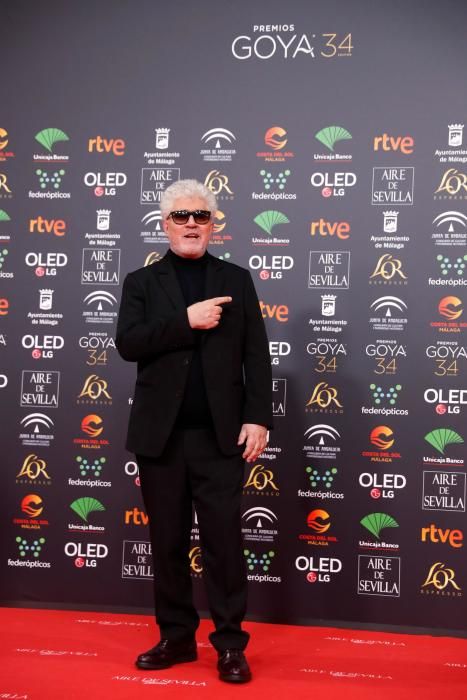 Alfombra roja de los Premios Goya 2020.