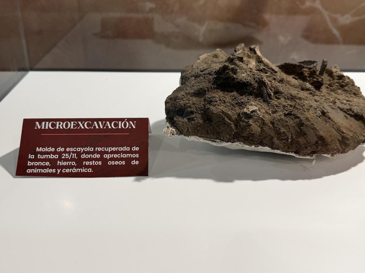 Una de las piezas expuestas en la muestra temporal.