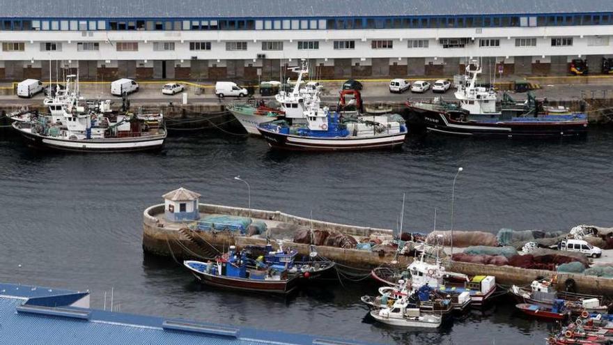 Barcos de la Cooperativa de Armadores amarrados en el puerto de Vigo. // Marta G. Brea