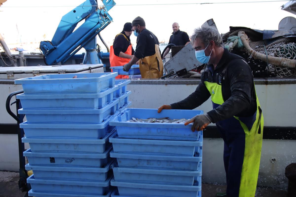Varios pescadores descargan sus capturas en el puerto de Castelló tras haber faenado.
