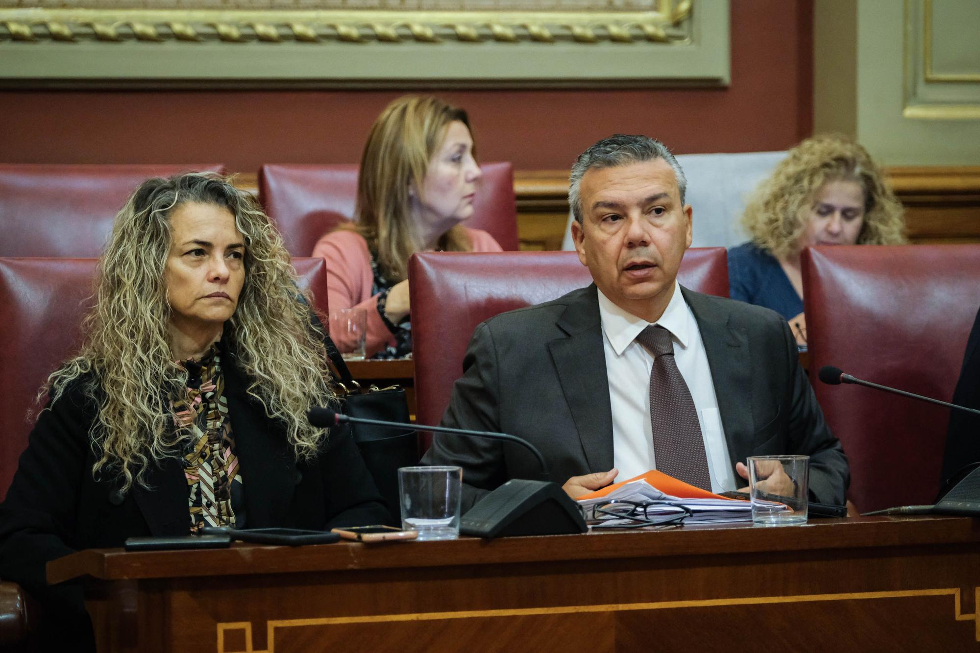 Pleno Ayuntamiento de Santa Cruz de Tenerife