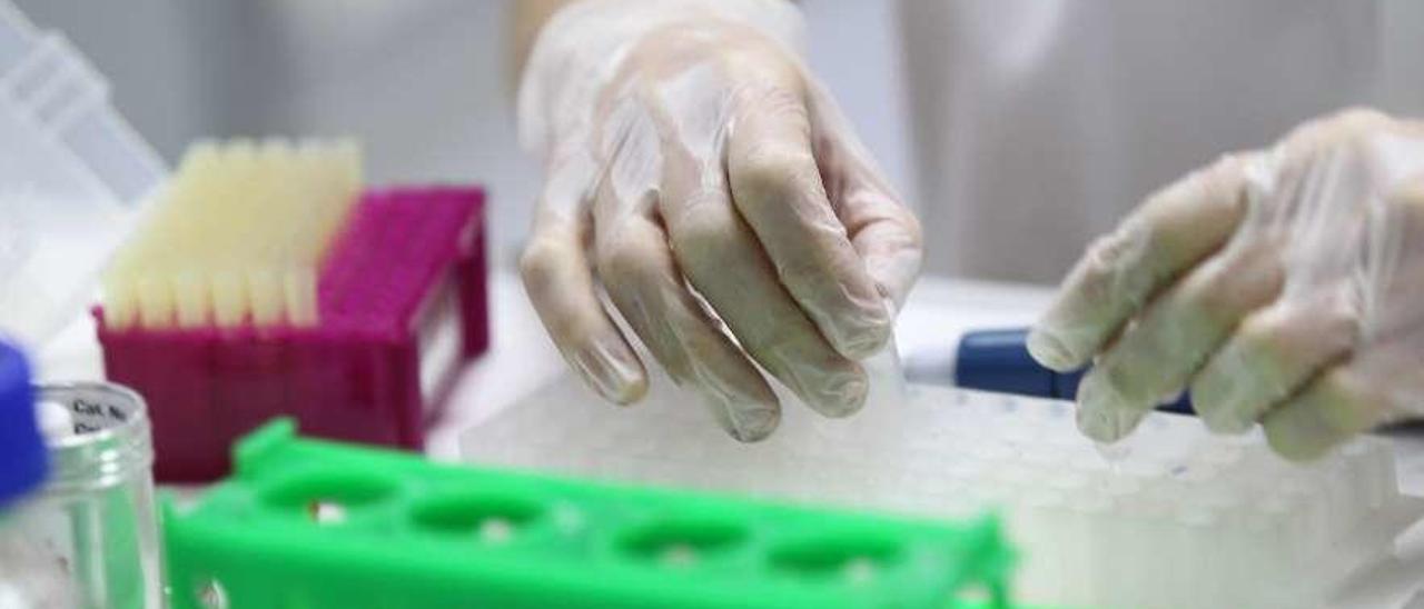 Un técnico maneja muestras en el laboratorio de oncología molecular del HUCA.