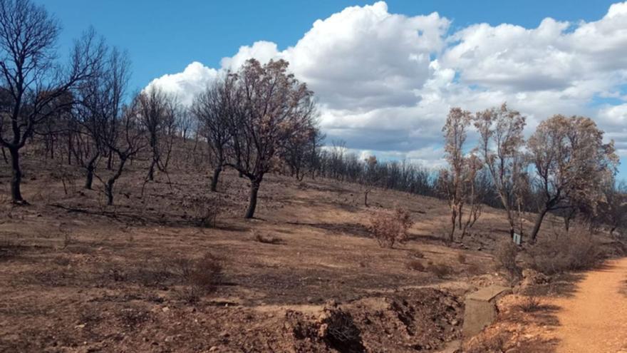 Proyectos de vida calcinados en el Valle del Tera