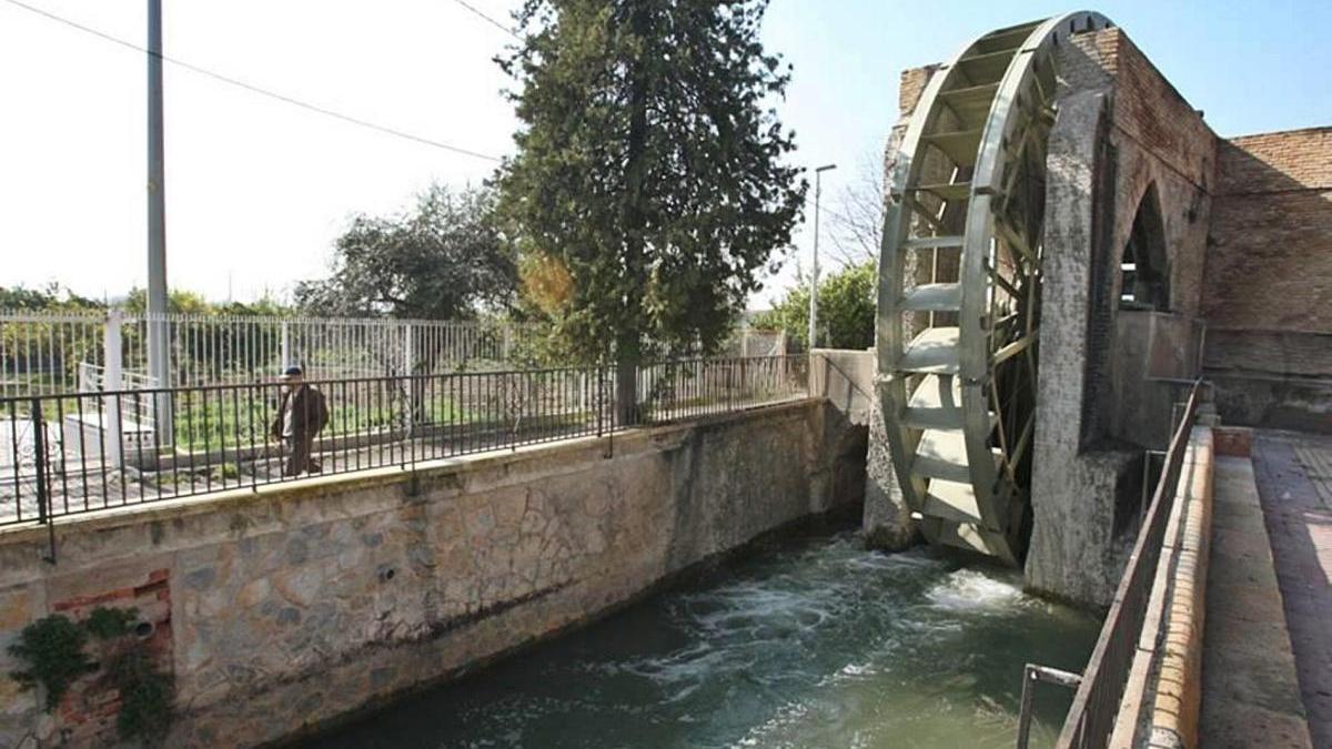 La actual Rueda de La Ñora fue construida en el año 1936 y es uno de los grandes símbolos de la huerta de Murcia.