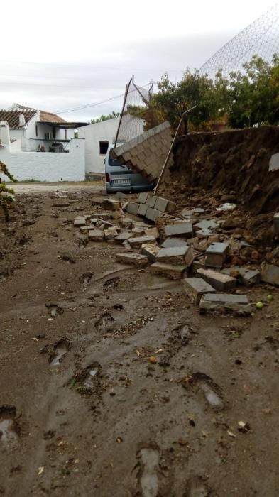 Coín fija en 1,4 millones los daños ocasionados por la gota fría.