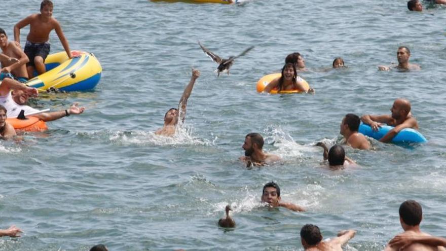 La batalla legal contra la suelta  de patos seguirá «hasta el final»