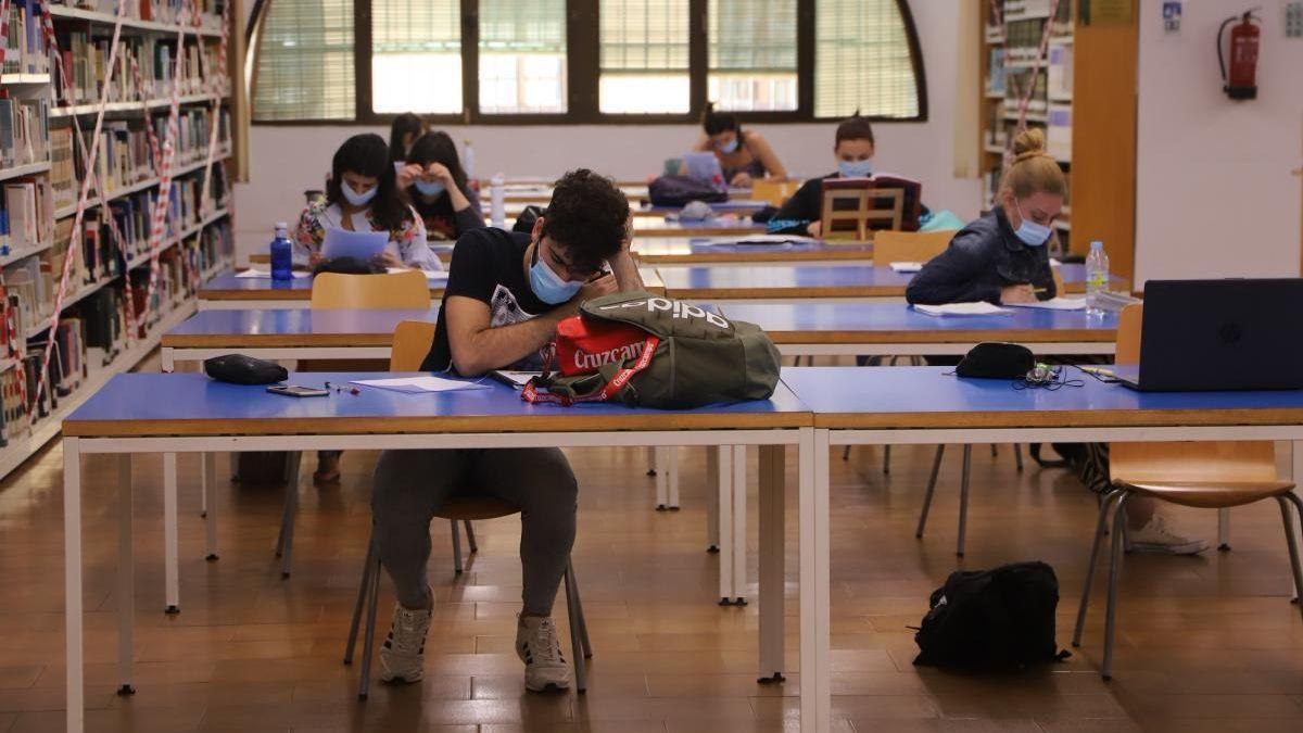 Un grupo de alumnos cordobeses estudian en una biblioteca.