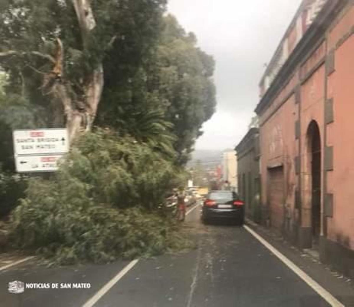Registran más de 800 incidentes por el viento en Canarias Registran más de 800 incidentes por el viento en Canarias