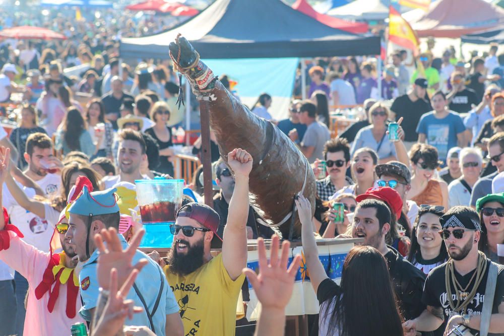 Miles de vecinos de Torrevieja disfrutan del Día de las Paellas en el recinto ferial con motivo de las fiestas patronales de La Purísima2018