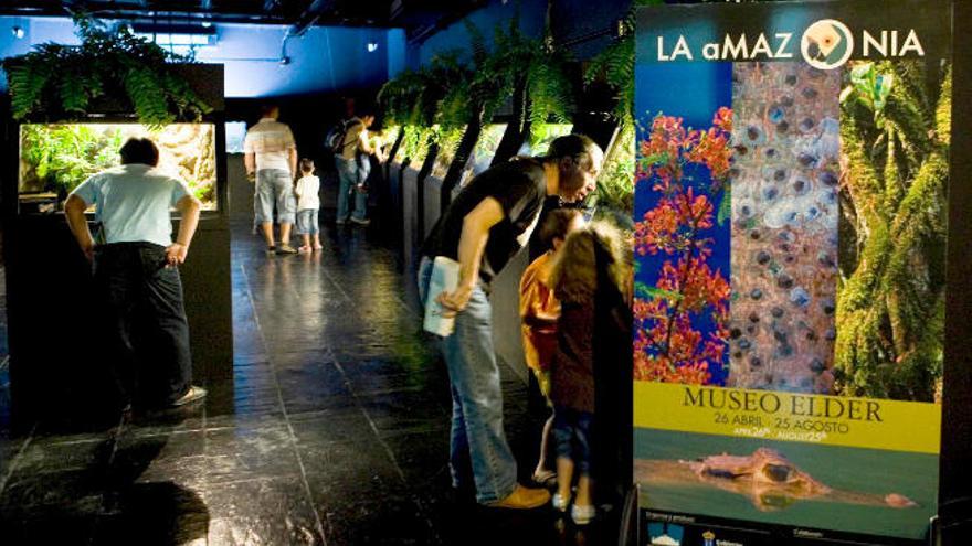 Museo Elder de la capital grancanaria.