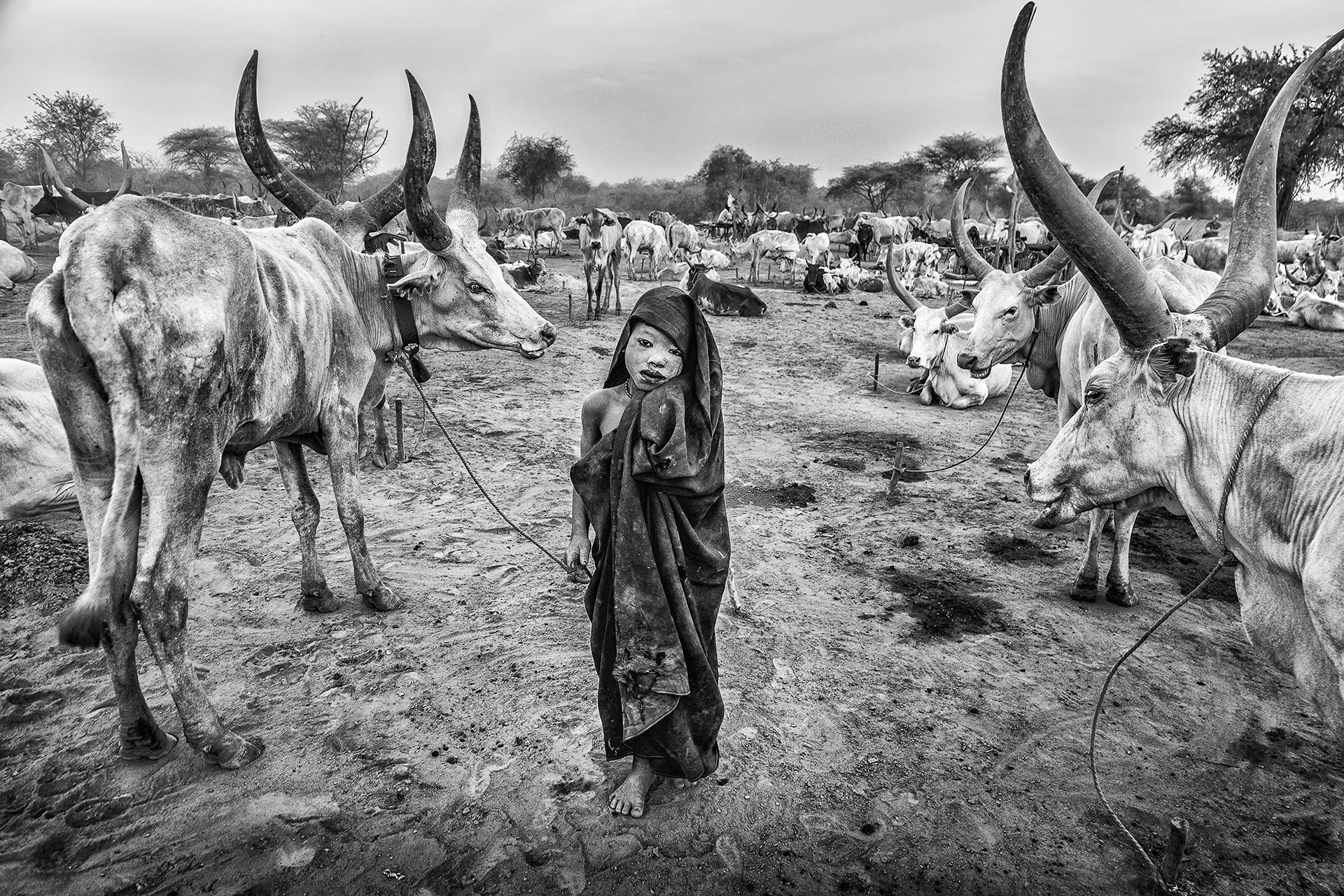 Las grandes fotos de naturaleza y aventura del memorial "María Luisa"