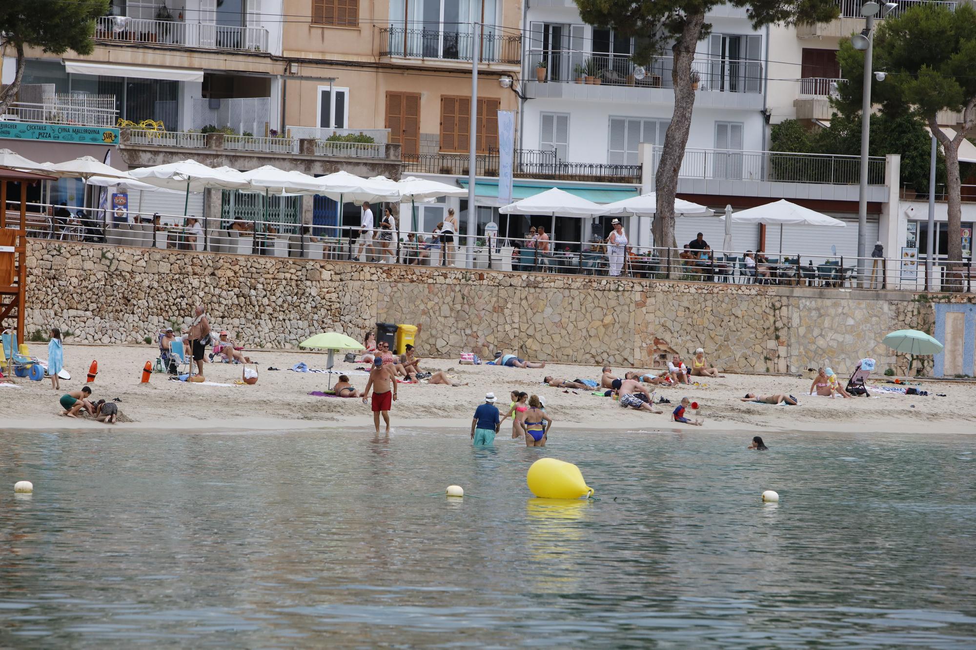 Porto Cristo auf Mallorca: Der gemütliche kleine Hafen, an dem bald Rafael Nadal wohnt