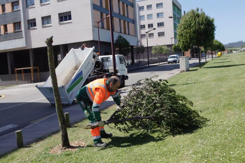 Temporal de viento en Gijón