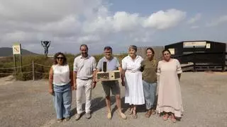 Drones e IA: la apuesta tecnológica para salvar a la lagartija de Ibiza