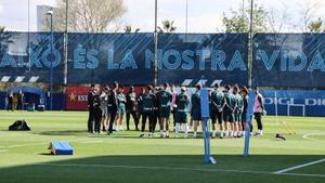 L’Espanyol programa una jornada de portes obertes per a aquest dijous
