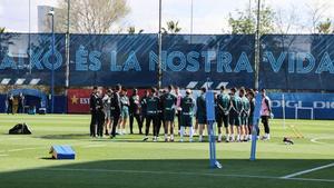 L’Espanyol programa una jornada de portes obertes per a aquest dijous