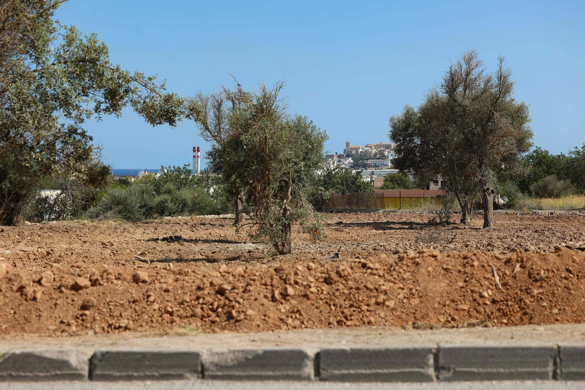 Galería: terreno de Can Rova II completamente despejado por el Ayuntamiento