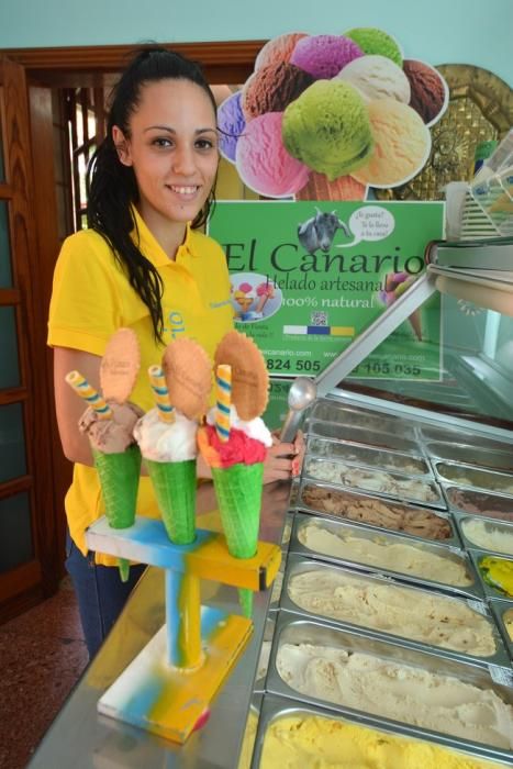 HELADOS EL CANARIO