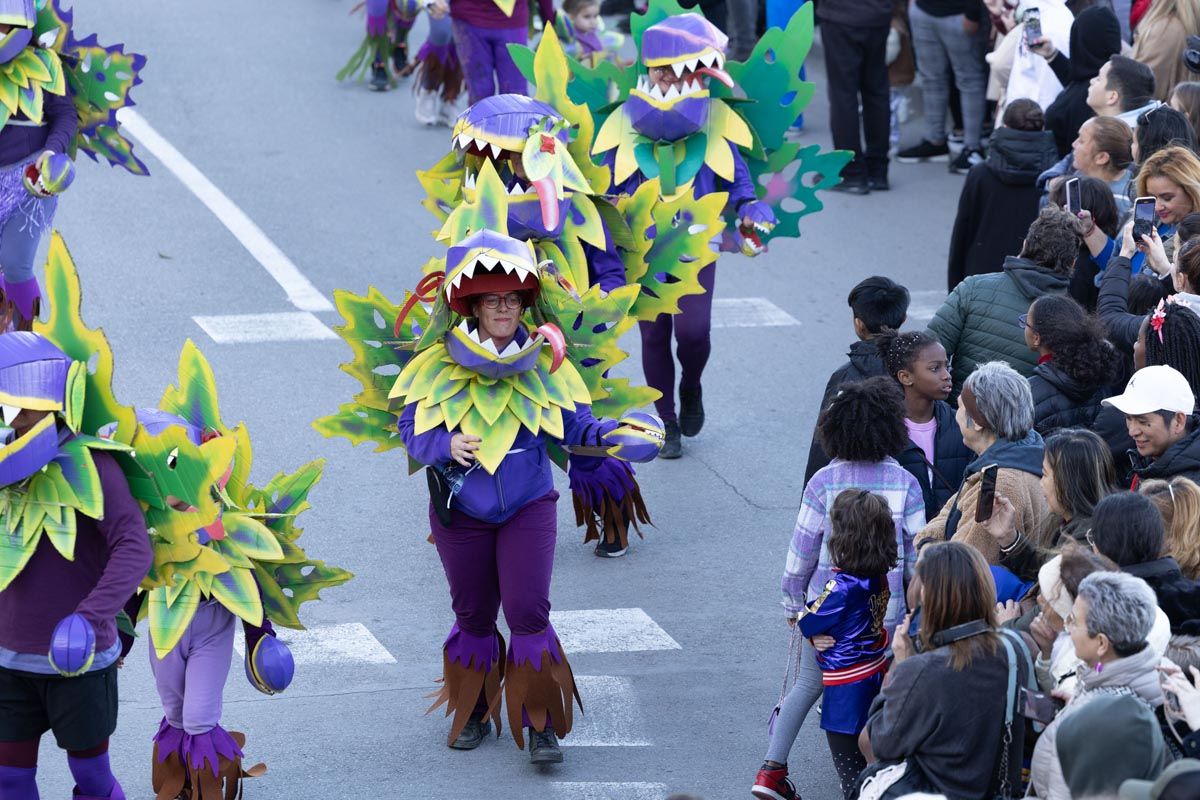 Mira aquí todas las imágenes de la rúa de Carnaval de Ibiza