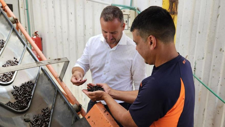 Orlando Cabrera (derecha) muestra las pellets de compost al consejero insular de Residuos, Enrique Pérez. | | LP/DLP