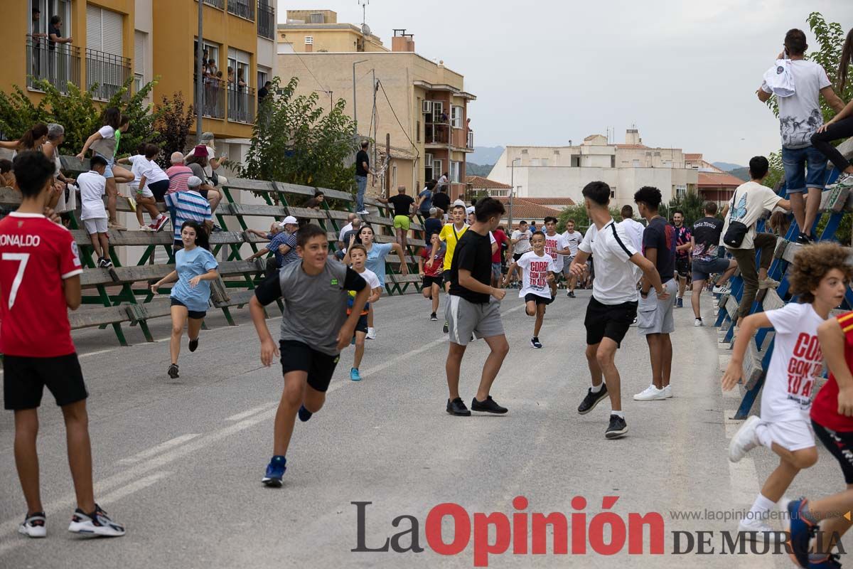 Chupinazo y encierro chico en Calasparra