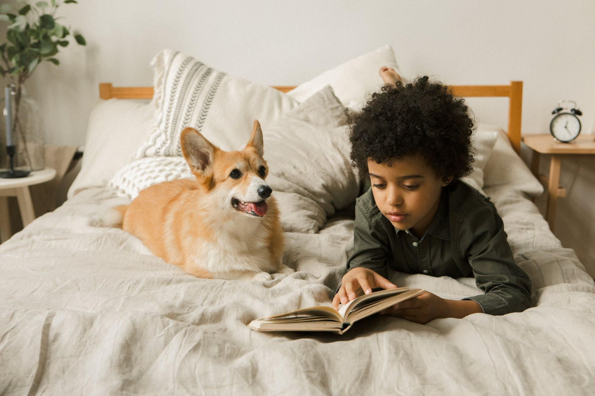 Perro con niño en casa