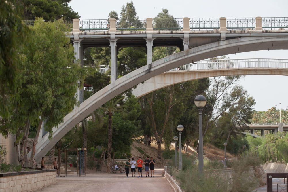 Pokémon Go conquista las calles de Elche