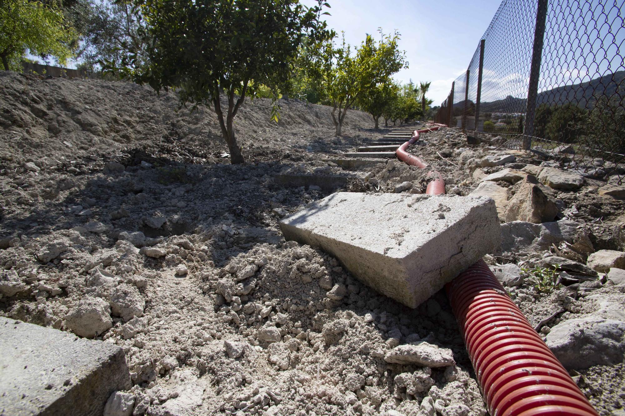 Los jabalíes destrozan parcelas de la urbanización Bixquert