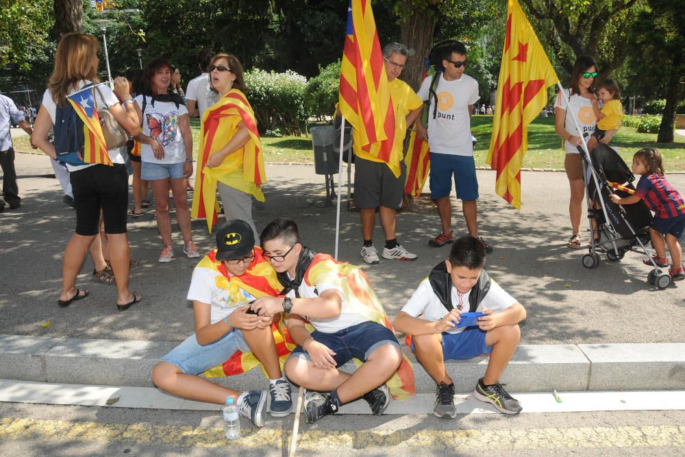 Macrogaleria de la Diada a Berga