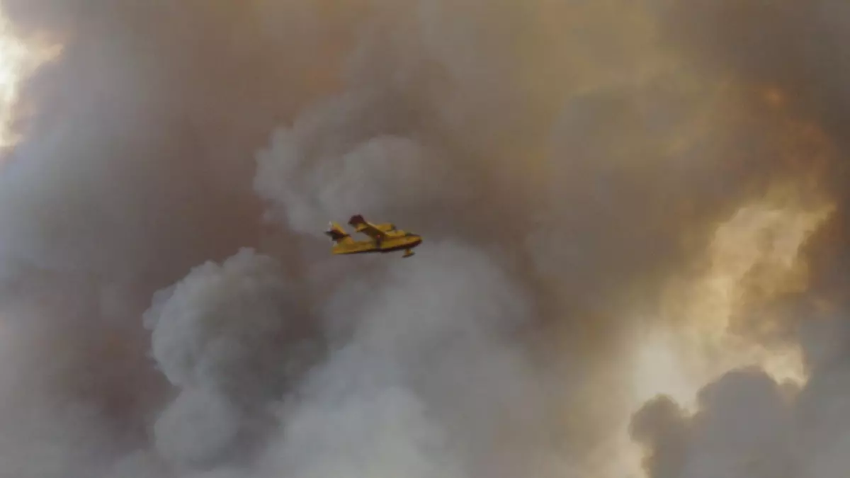 Cuatro heridos críticos y ocho pueblos desalojados por el incendio de Zamora