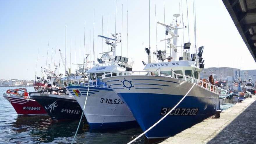 Embarcaciones de la flota de cerco amarradas en el puerto de A Coruña.