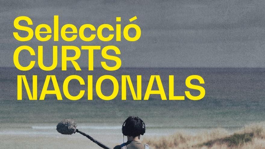 IBZCF: Selecció curts nacionals